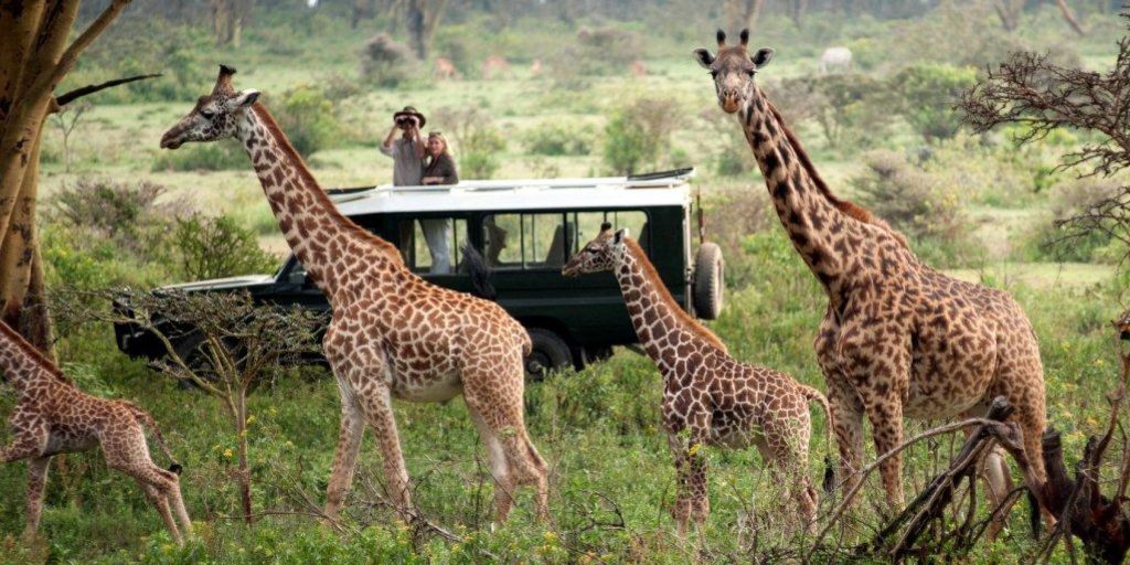 26days 25 nights fly in Southern Africa adventure safari .