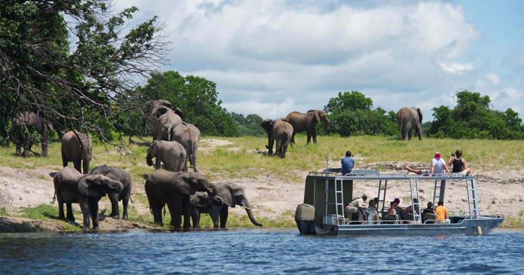 Tourists watching elephants during a bout ride on Chobe river Botswana