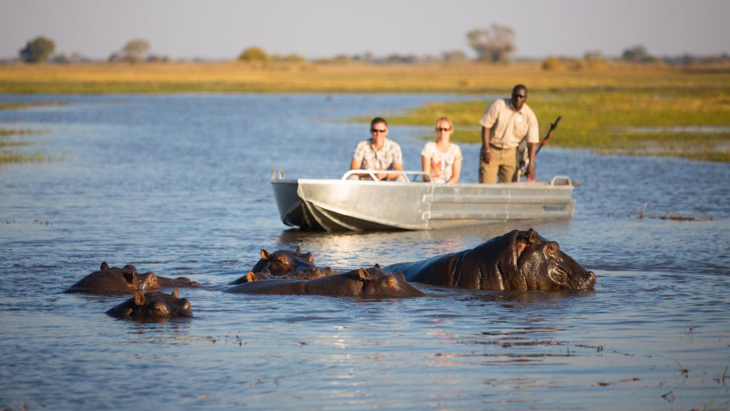 Guests looking at hippos during a boat in Kafue National Park Zambia