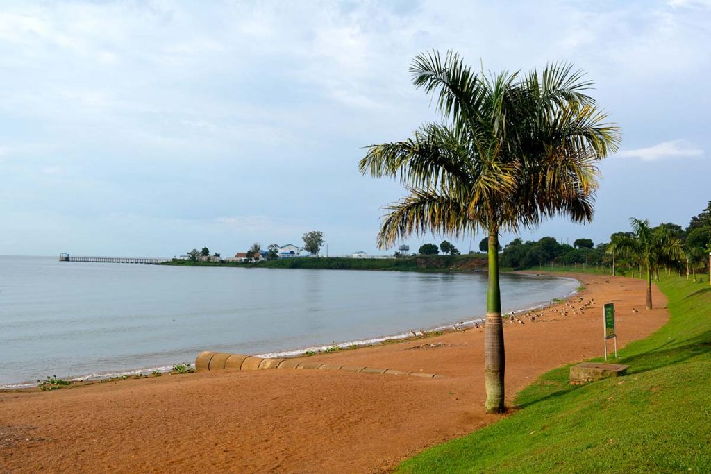Lake-Victoria-shores-Entebbe.