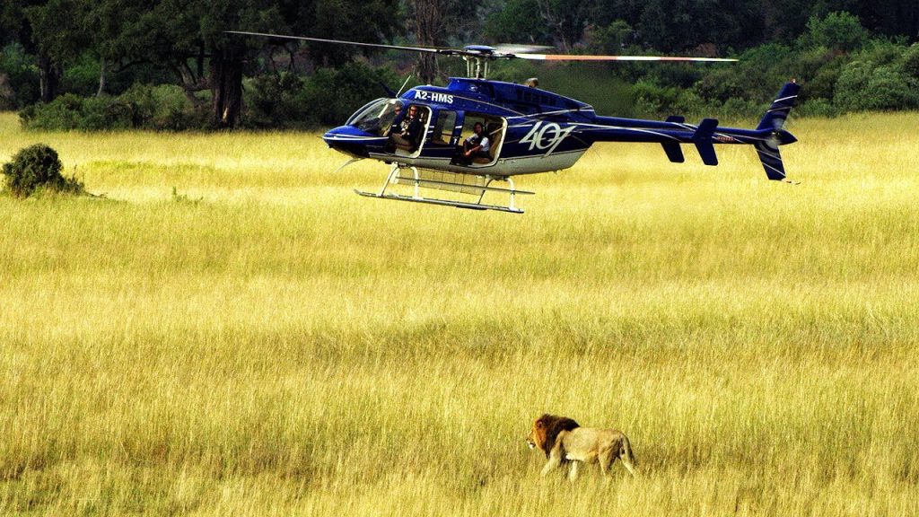 Okavango delta helicopter safari Botswana