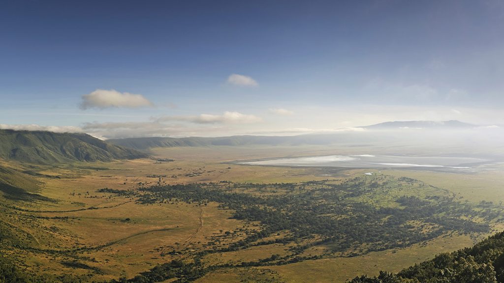 The NAGORONGORO Crater landscape dotted with acacia trees, savannah grasslands and and Lake Magadi on the floor of Ngorongoro crater national Park Tanzania Africa.