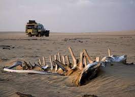 Tourist jeep parked at Skeleton Coast Namibia