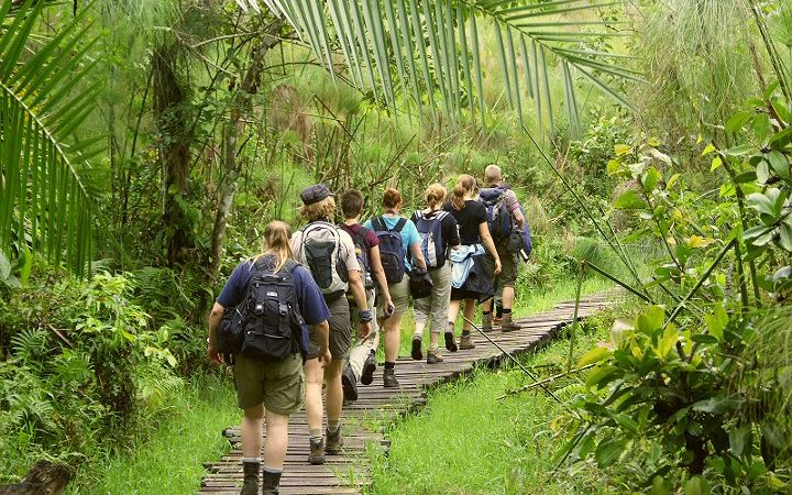 Tourists-at-Bigodi-Swamp-walk-Uganda.