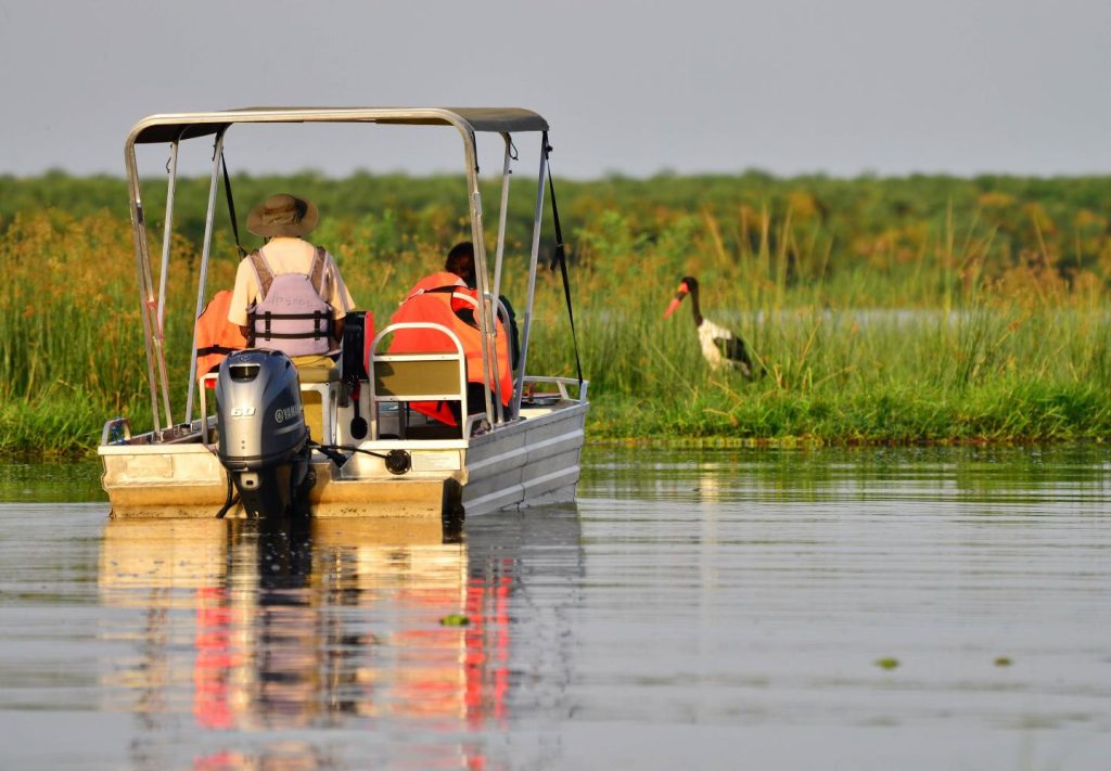 Tourists-on-a-delta-boat-cruise-looking-at-a-saddle-billed-stoke-at-the-delta-Uganda.