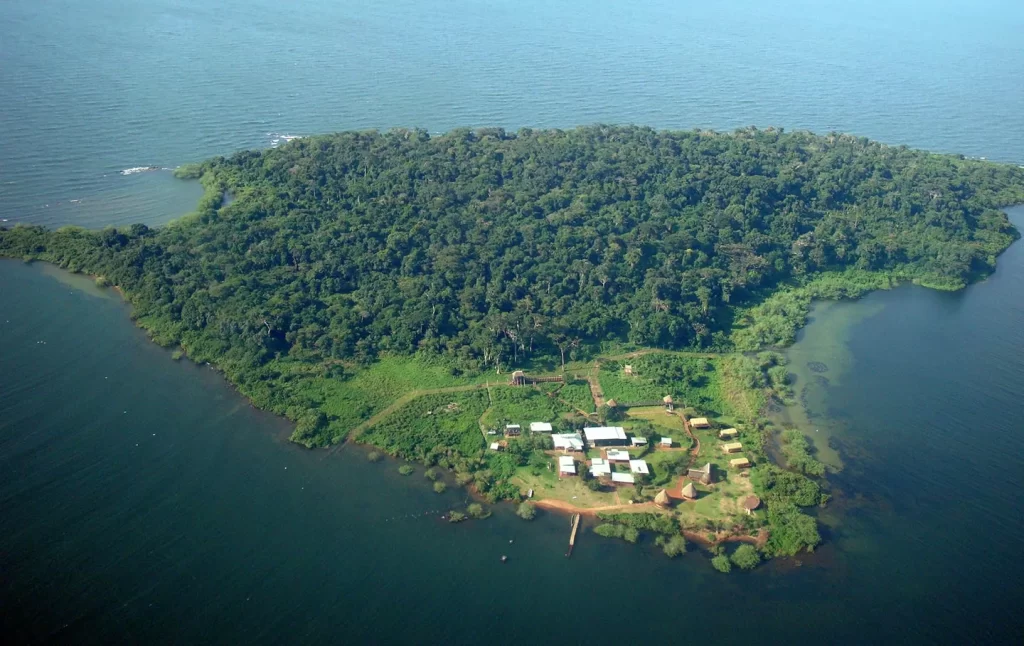 Aerial view Ngamba island Uganda