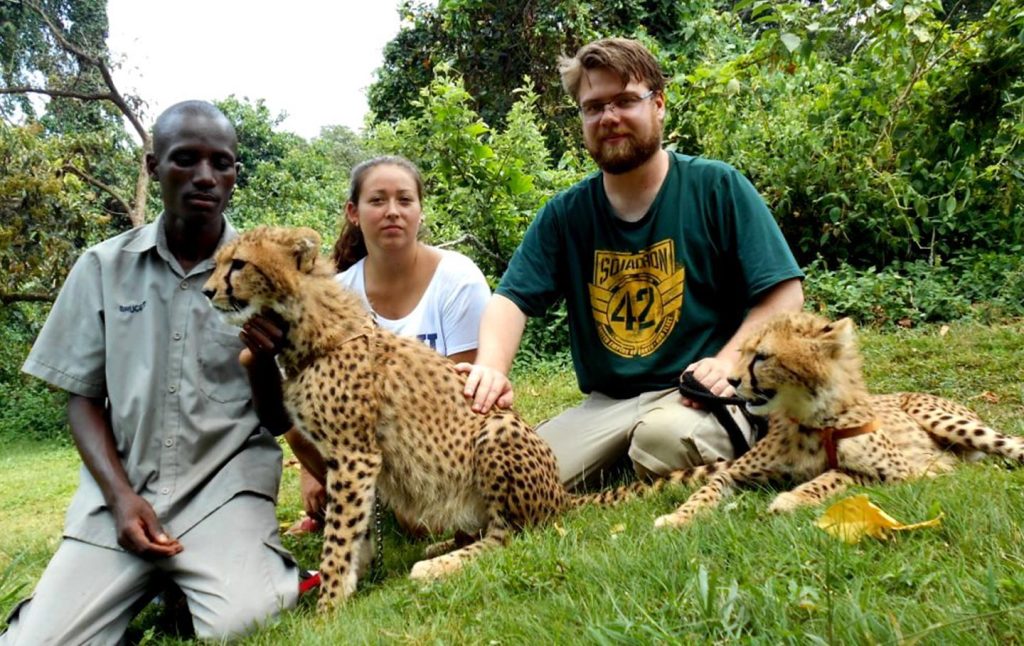 Students from University of Melbourne Australia Interacting with cheetahs Entebbe Educational center Uganda