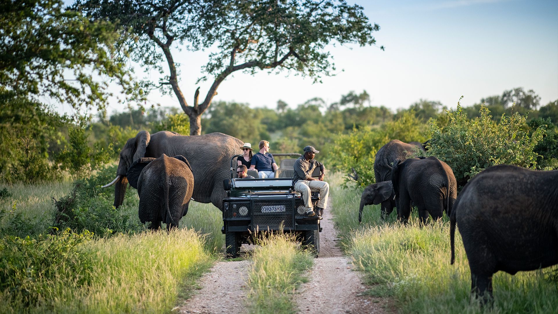 Tourists during a game drive in Kruger National park - Africa