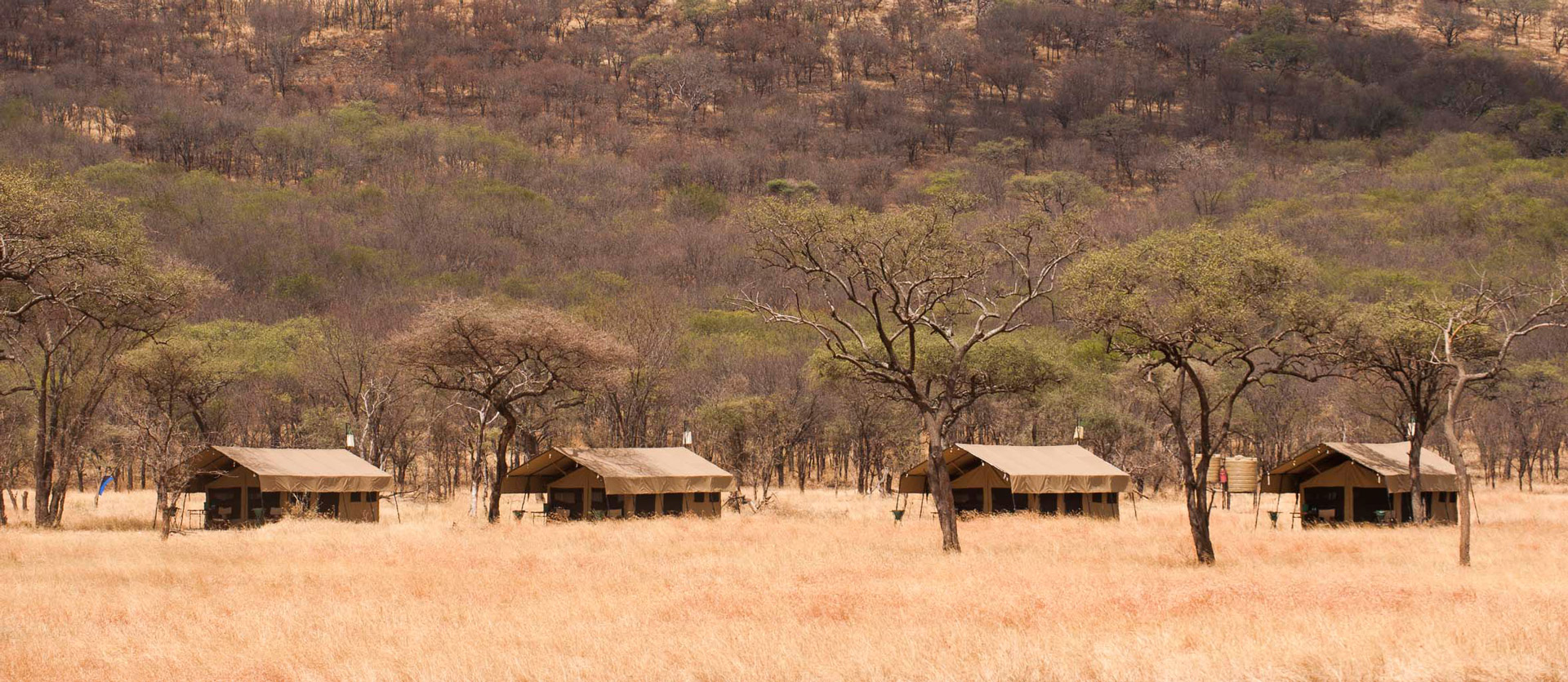 Kati Kati tented lodge Serengeti Tanzania