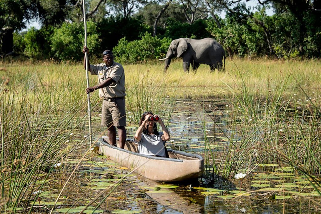 A tourist using mokoro Tradition boat during bird watching activity of the Okavango delta