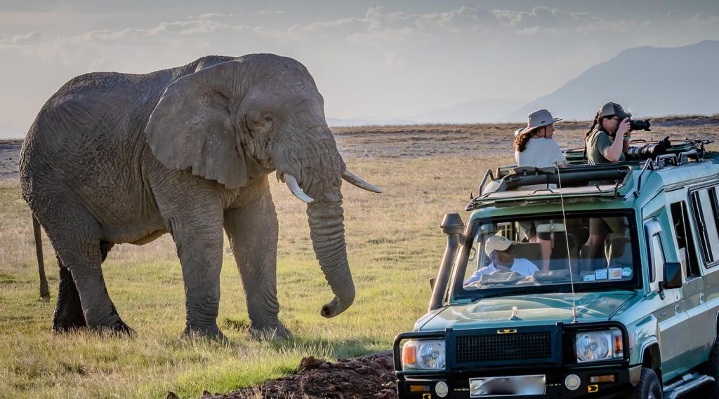 An Elephant approaches tourist jeep during a game drive