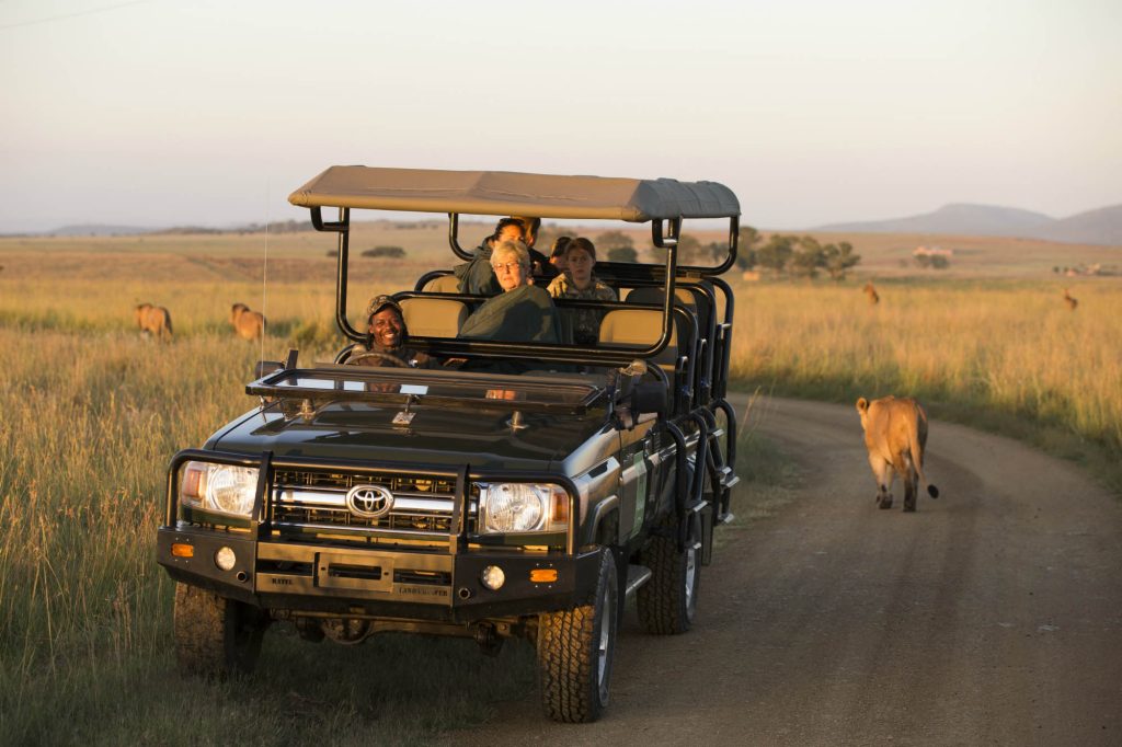tourist during a game drive.