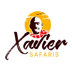 African Safari with Xavier safaris