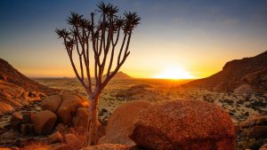 Damaland sun rise view Namibia Africa