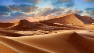 Desert landscape of Namibia Africa