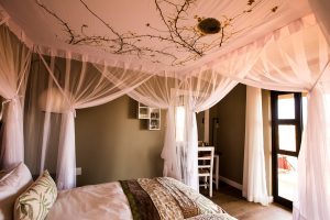 Kalahari Anib Lodge room