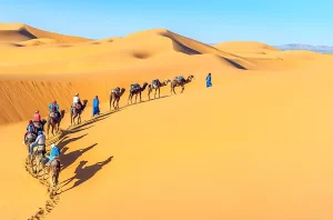 Sahara desert north Africa