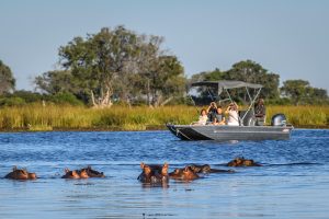 Okavango Delta boat cruise game viewing Botswana