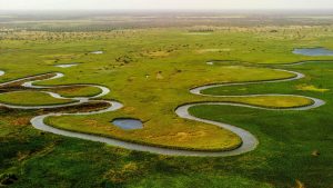section of Okavango Delta Botswana Africa