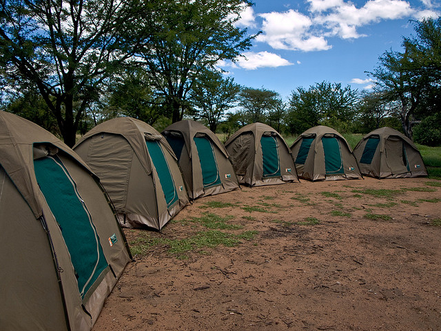 A group of self camping tents