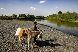 A boy stands next to a donkey loaded with jerry cans by the Atbarah river near the village of Dukouli