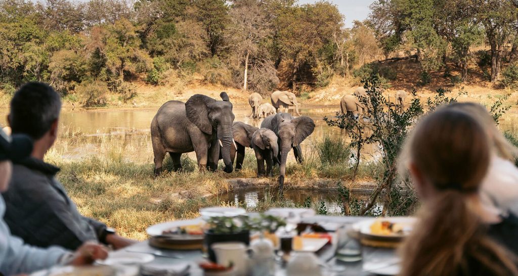 Guests having breakfast as a herd of elephants frink water from a small pound Simbavati River Lodge Kruger national park.