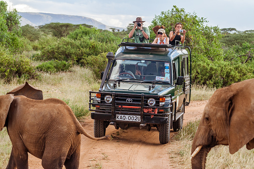 A group of guests viewing elephants in Masai Mara game reserve kenya