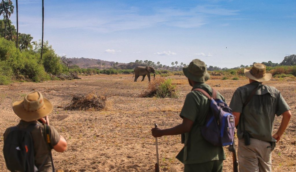  safari guide with guests during a nature walk in Hangwe national park Zimbabwe.