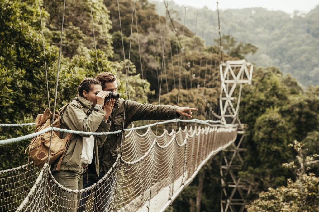 canopy bridge Nyungwe national park Rwanda
