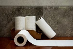 Biodegradable Tissue Paper