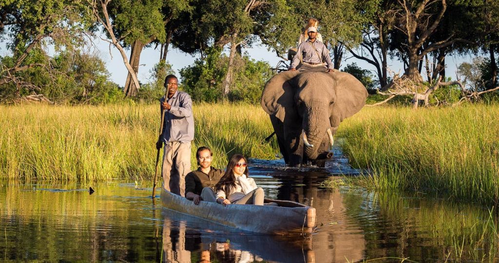 Elephant safari mokoro boat safari Okavango delta Botswana.