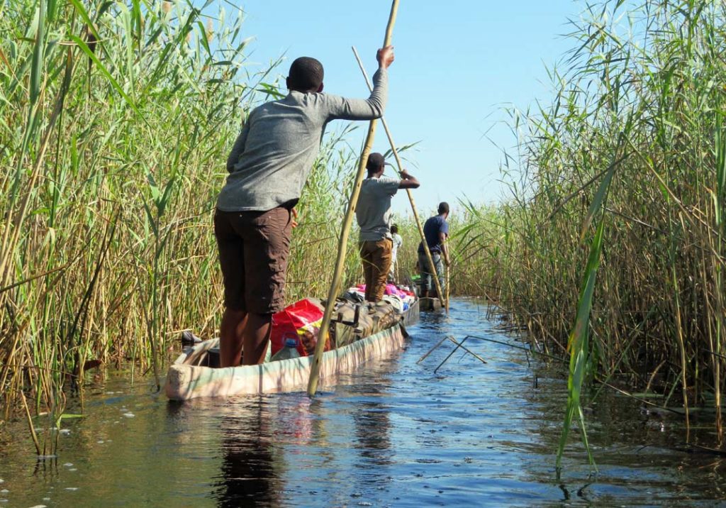 local guides gliding mokoro or makoro traditional canoe vessel Okavango delta Botswana
