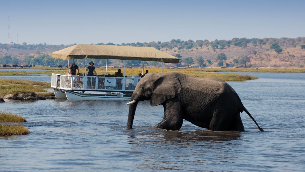 Boating cruise Chobe-National-Park Botswana