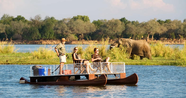 Tourists during sun set boat cruise lower zambezi national park Zambia