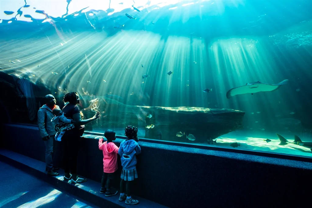 Two Ocean Aquarium interior cape town South Africa