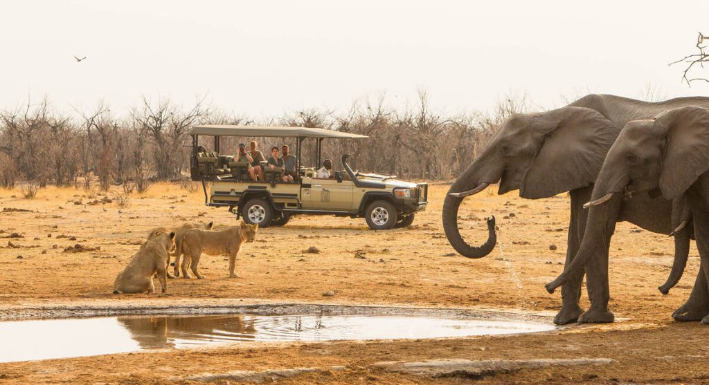 tourists watching lions and elephants at a water hole Okavango Delta Botswana